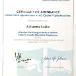 Warszawa 2016 — Allergan - Lower face rejuvenation - MD Codes practical use