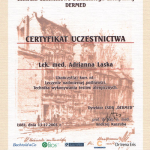 Łódź 2003 — Kurs nt. leczenia nadmiernej potliwości oraz techniki wykonywania testów alergicznych.