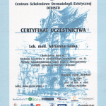 Łódź 2004 — Techniki laserowe w dermatologii estetycznej - cz. II: Metody fotoodmładzania skóry twarzy. Alternatywne metody usuwania naczyń i włosów.